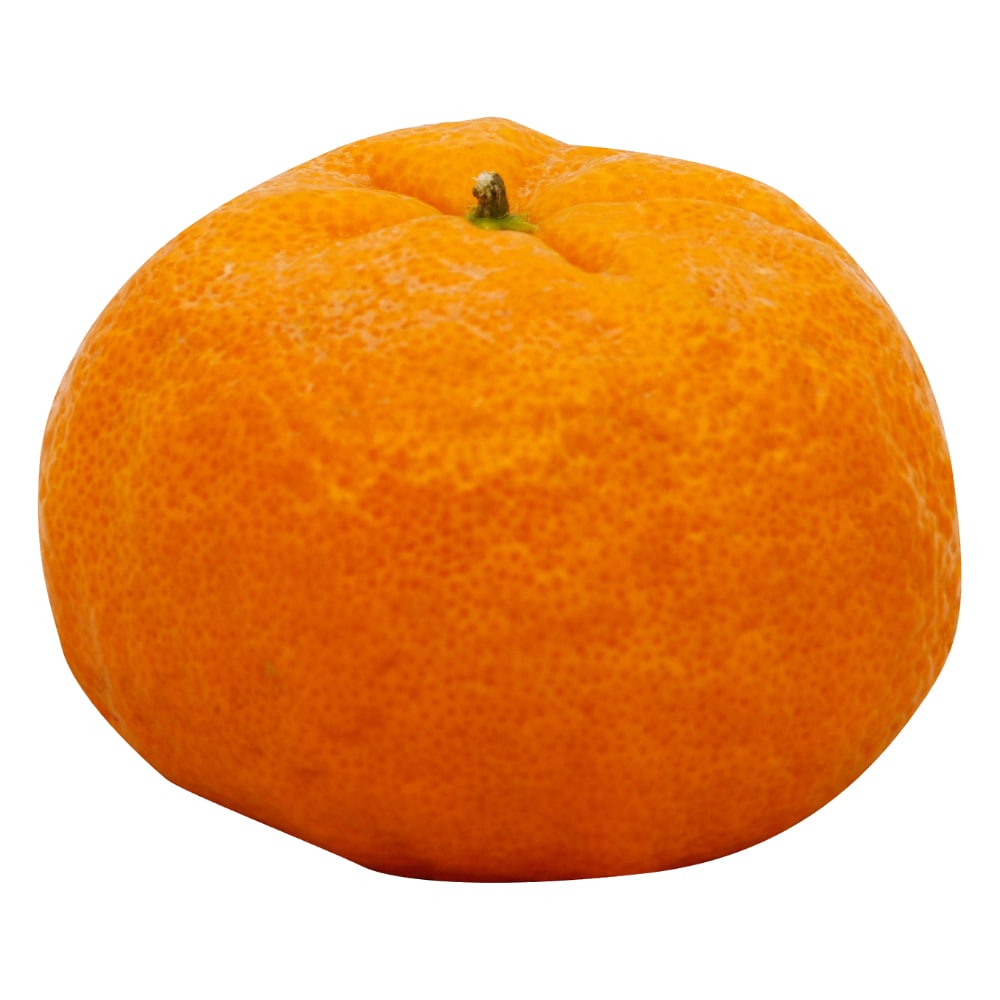 Fresh Gold Nugget Mandarin